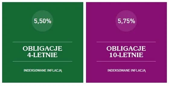 Obligacje COI czy EDO - co wybrać, aby zminimalizować ryzyko?