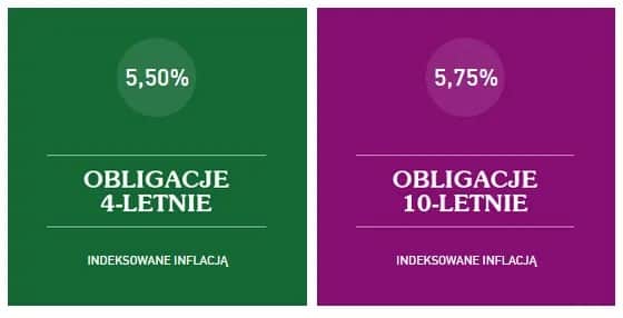 Gdzie kupić obligacje EDO i uniknąć najczęstszych błędów inwestycyjnych